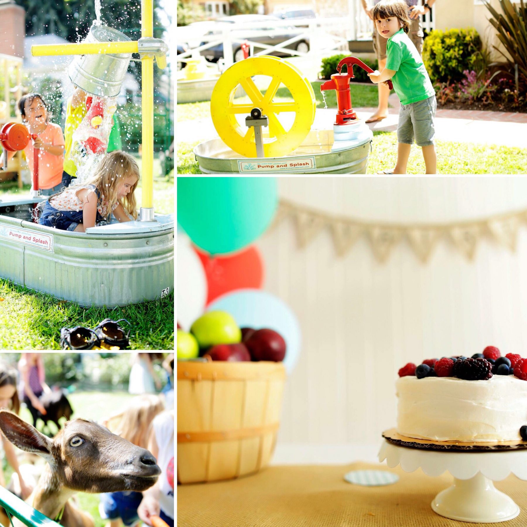 Farmers Market Birthday Party Ideas and Inspo Pics Activities Petting Zoo