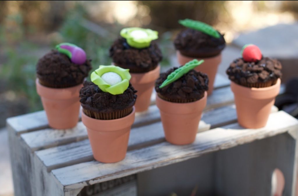 Farmers Market dessert ideas plant pots