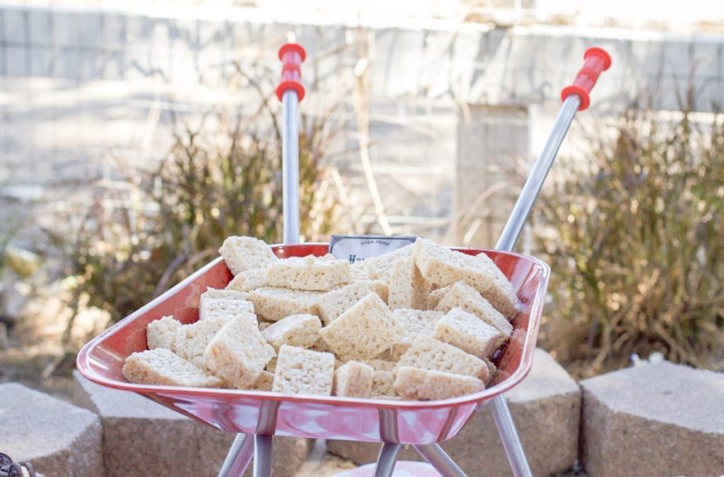 easy DIY farm or farmers market theme dessert table ideas - find tons of Inspo and buying guide at beautifuldayblog.com