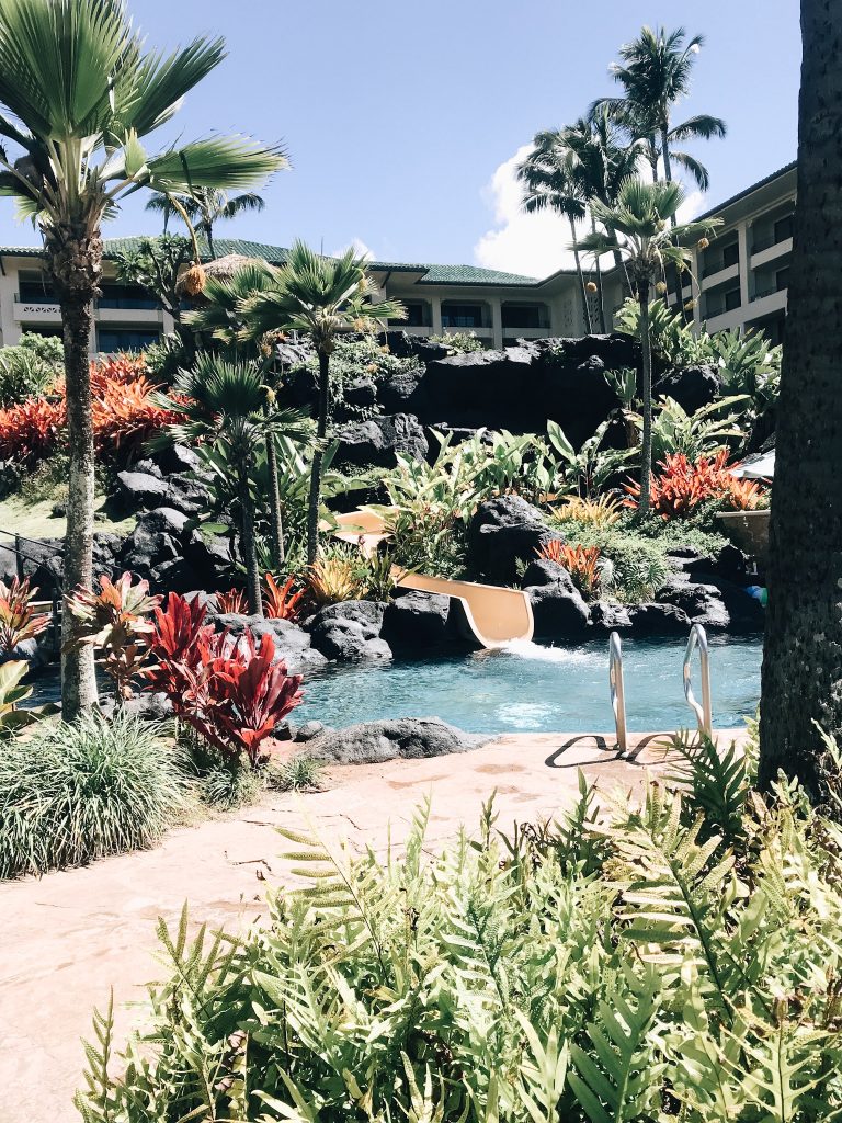 waterslide at grand hyatt kauai