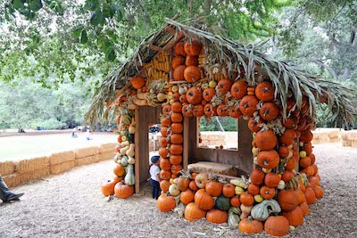 Halloween Fun in Los Angeles for Kids - Descanso Gardens event is outdoors, instagram friendly and socially distanced for 2020!